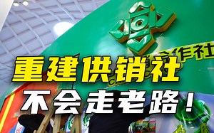 供销社\"重出江湖\"，传递什么信号？