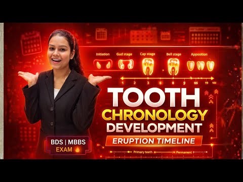 Complete Tooth Eruption Chronology Dental Anatomy for BDS Exams | Johari BDS