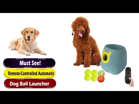 PetLab Co. Probiotic Chews: Are They The Solution For Your Dog's Allergies & Itchy Skin