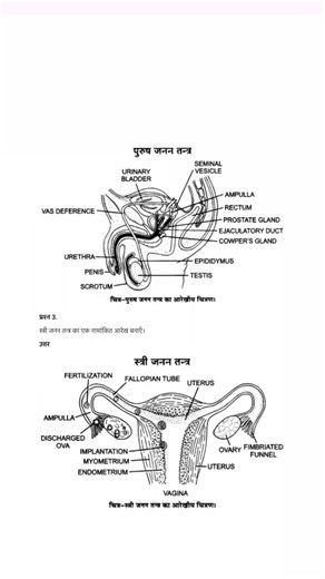 class 12 saince biology notes 2026 most important notes 💥💥💥 100% #class12 #saince #biologyclass
