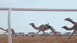 Paul Pogba has become a shareholder in the world's first professional camel racing team 🐪 | Sky Sports Football