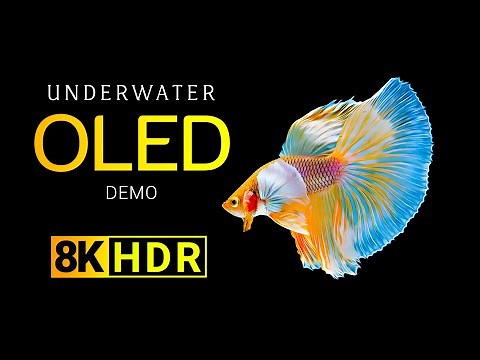 Underwater OLED Demo 8K HDR Ultra HD Dolby Vision 60fps l The Color Of The Ocean
