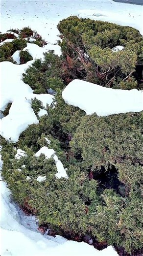 Amazing View 😳😎🇨🇦