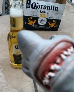 ITS CORONA TIME!!!!! Backup @thesharkpuppet - - - - - - #meme #dankmemes #shark #sharkpuppet #fortnite #minecraft #tiktok #edgymemes #corona #comedy | The Shark Puppet