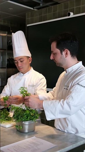 Culinary Arts Essentials | Learn Professional Cooking Skills at Ecole Ducasse Abu Dhabi