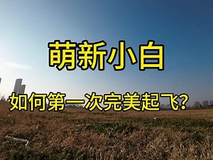 rcfpvpro怎么起飞