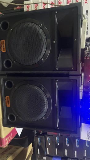 Promac SR-806 2 Way Speaker Review and Repair Guide