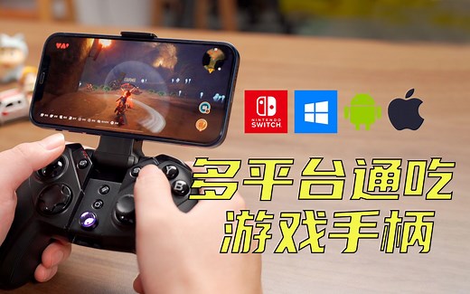 超划算的游戏手柄带振动和陀螺仪！Switch手机PC都没问题！盖世小鸡G4Pro