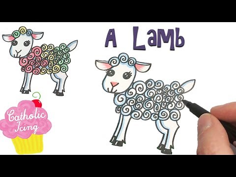 How To Draw A Lamb (Sheep)