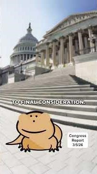 Congress Activity Report | March 5th