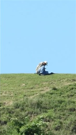 canon powershot sx60 #rek