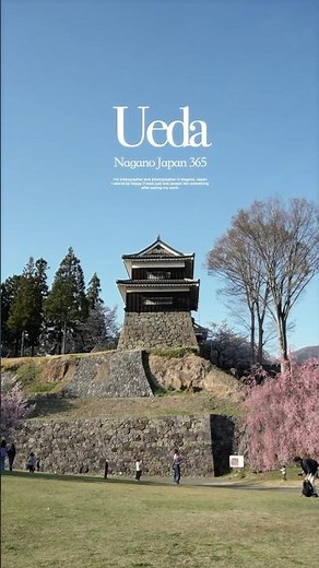 はやく春になって欲しい、今年も桜が楽しみだ｜長野県上田市🌸🏯☀️#長野県 #上田市 #観光スポット #絶景スポット #桜