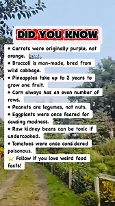 1.8M views · 11K reactions | Foods With Surprising Origin Stories! #facts | Did You Know Facts By OFS | Facebook