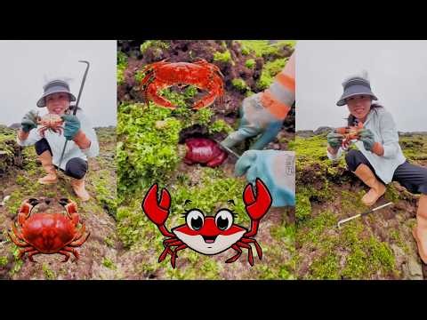Crabs crawling out of rock holes 🦞Fishing for lobsters #crab #fishing #catching #hunting