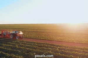 Spraying Crops Videos, Download The BEST Free 4k Stock Video Footage & Spraying Crops HD Video Clips