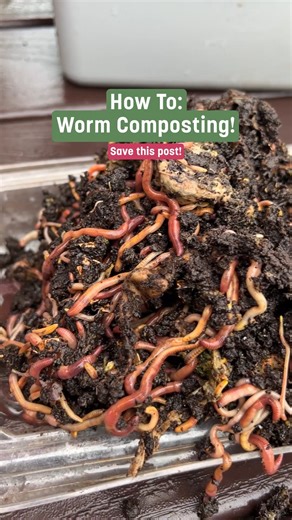 1.1K views · 11 reactions | Composting with worms is a fantastic way...