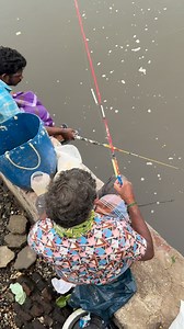 Best way to catch normal size fish | Tn villager