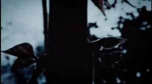 Krishna Kiran on TikTok