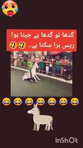 #funny​​​​​​​ #backgroundmusic​​​​​​​ #laughing​​​​​​​ #comedy​​​​​​​ #emoji #laughingsound effects