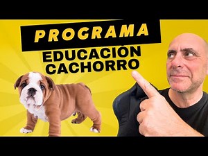 "Así es mi Guía Paso a Paso para Educar a tu Cachorro: Método Fácil y Eficaz"