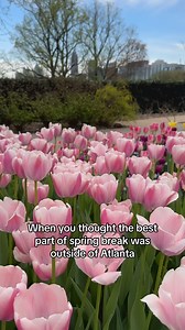 6.6K views · 74 reactions | Who says you need sand for spring break?  If everything goes according to plan, there'll be plenty of color come APS Spring Break, April 1 - 5. Pencil us in? | Atlanta Botanical Garden | Facebook