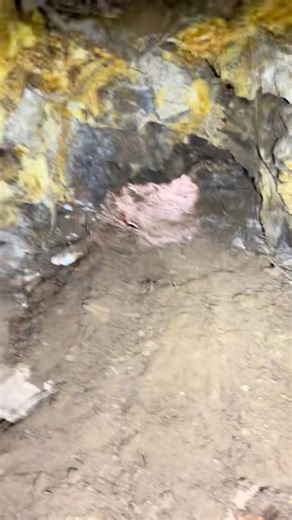 46K views · 588 reactions | First look inside an 1896 gold mine that was sealed up! #pnw #offcourseexplorations #lostmine #history | The Official Off Course Explorations Page | Facebook