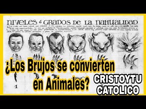 ⛔ Witches who turn into animals: Do nahuales exist?
