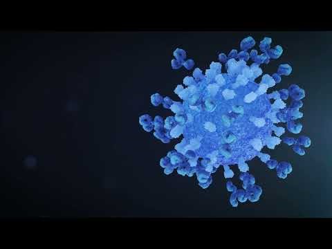 Viral Neutralization by Antibodies | 4K Biology Animation
