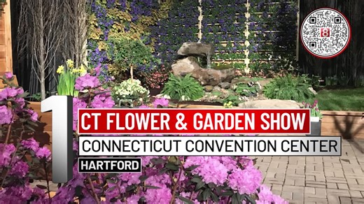 8 Things To Do This Weekend: CT Flower and Garden Show, Chowder Cook-Off & Corned Beef Dinner