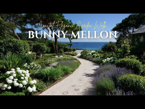 Coastal Elegance Garden Walk Inspired by Bunny Mellon with Shell Paths and Oceanfront Charm