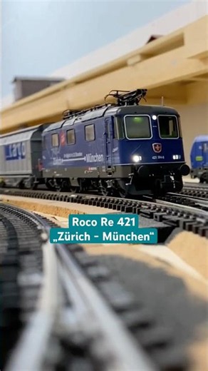 Roco Re 421 "Zürich - München" mit Güterzug