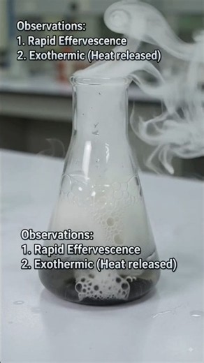H₂O₂ + MnO₂ | Rapid Oxygen Gas Production Experiment