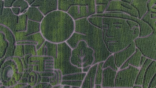 Giant Northern California corn maze lets visitors enjoy getting lost