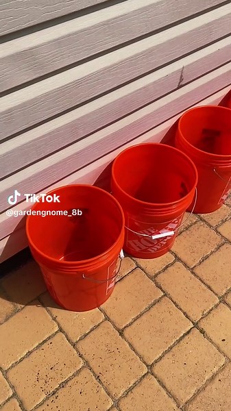 Bucket Gardening: A Beginner's Guide to Self-Sufficiency