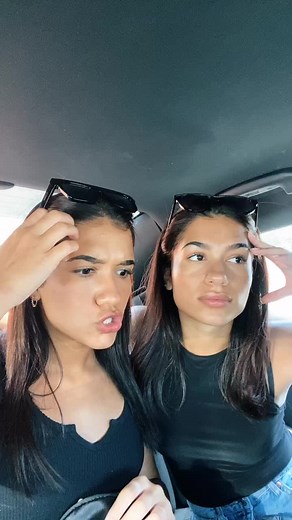 Twins Communicating Through Hand Gestures in Car