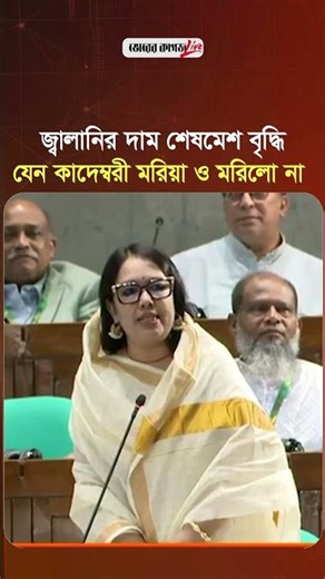 জ্বালানির দাম শেষমেশ বৃদ্ধি, যেন কাদেম্বরী মরিয়া ও মরিলো না || RuminFarhana || Bhorer Kagoj Live