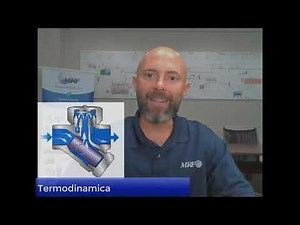 Trampas de Vapor 101