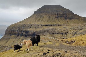 5 Hour Streymoy Island Hike | Guide to Faroe Islands