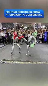 Fighting Robots On Show At World AI conference