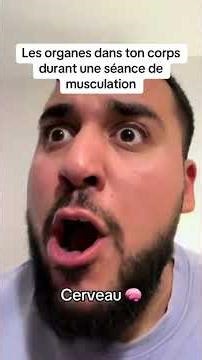 Les organes dans ton corps durant une séance de musculation