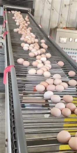 The sorting process is too machine-intensive in the factory.