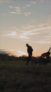 5.8K views · 106 reactions | From protecting livestock to helping out on the farm, farm dogs are truly a farmer’s best friend. If your furry companion has what it takes to be the next #FarmDogOfTheYear, in partnership with Purina, nominate them TODAY. | American Farm Bureau Federation | Facebook