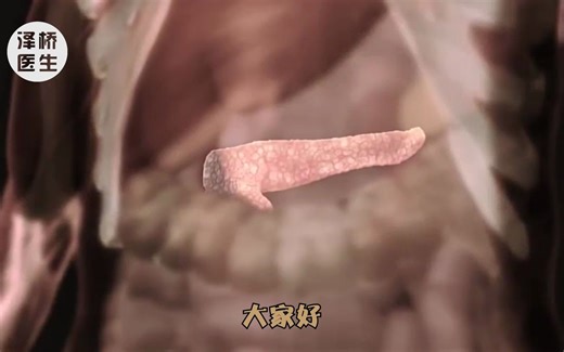 小小胰腺，却很重要！