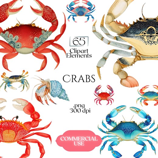 Crabs Clipart, Watercolor Crab PNG Illustrations, Coastal Sea Life Graphics (65 Files, Transparent Background) - Etsy