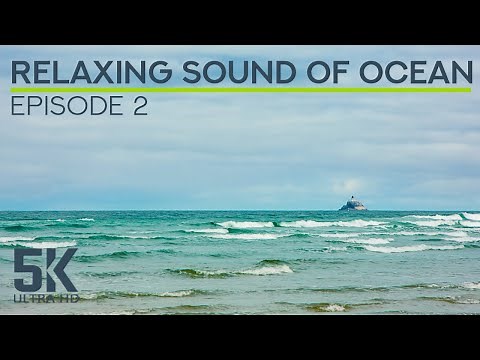 8 HRS Peaceful Ambience of Ocean Waves & Seagulls Squawking - Relaxing Sound of Pacific Ocean - #2