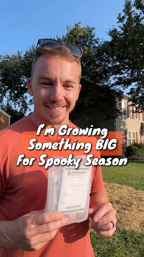 13K views · 360 reactions | I’m growing something BIG for Halloween  I always wanted to grow a pumpkin patch, and this year we are going big. I’m growing 7 pumpkin plants, 4 different varieties and one of them being a Giant pumpkin. My hope is to grow a number and variety of pumpkins to give away to my neighborhood for Halloween, and see just how large of a pumpkin I can grow. Follow for updates! #pumpkinpatch #pumpkin #halloween | Earth, Nails & Tails | Facebook