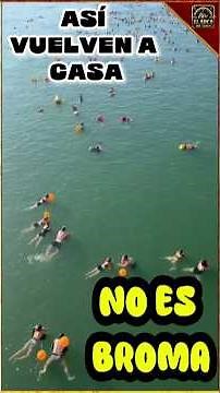 This is how they get back from work in Switzerland: they jump into the river to get home