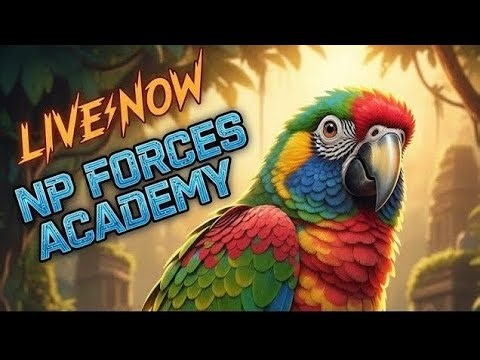 Jungle Birb ForestCalm Tropical Rainforest Bird Room Sounds to Relax Your Parrot Parrot Town TV