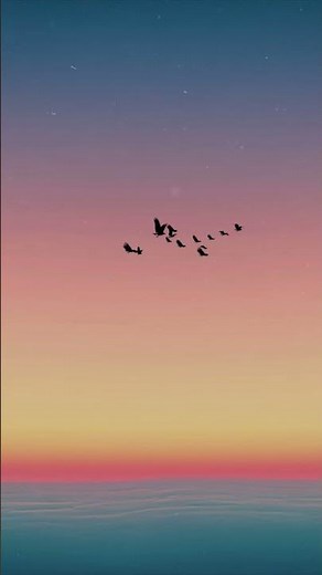 yaelokre - hartebeest (lyrics) #yaelokre #folkmusic #lyrics