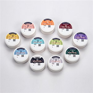 Perfect-A-Smile Aligner Pontic Paint